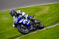 anglesey;brands-hatch;cadwell-park;croft;donington-park;enduro-digital-images;event-digital-images;eventdigitalimages;mallory;no-limits;oulton-park;peter-wileman-photography;racing-digital-images;silverstone;snetterton;trackday-digital-images;trackday-photos;vmcc-banbury-run;welsh-2-day-enduro